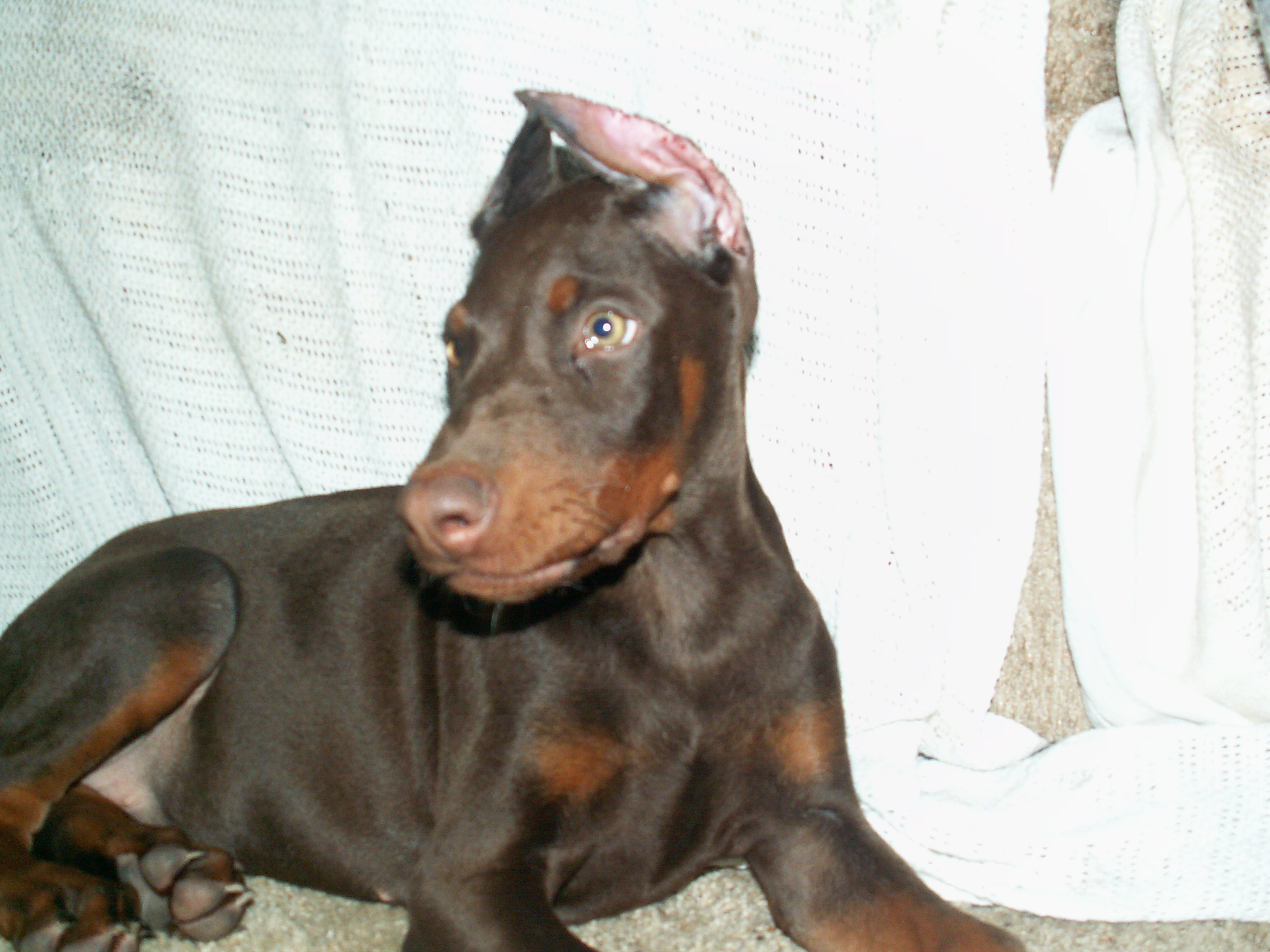 pict0362.jpg