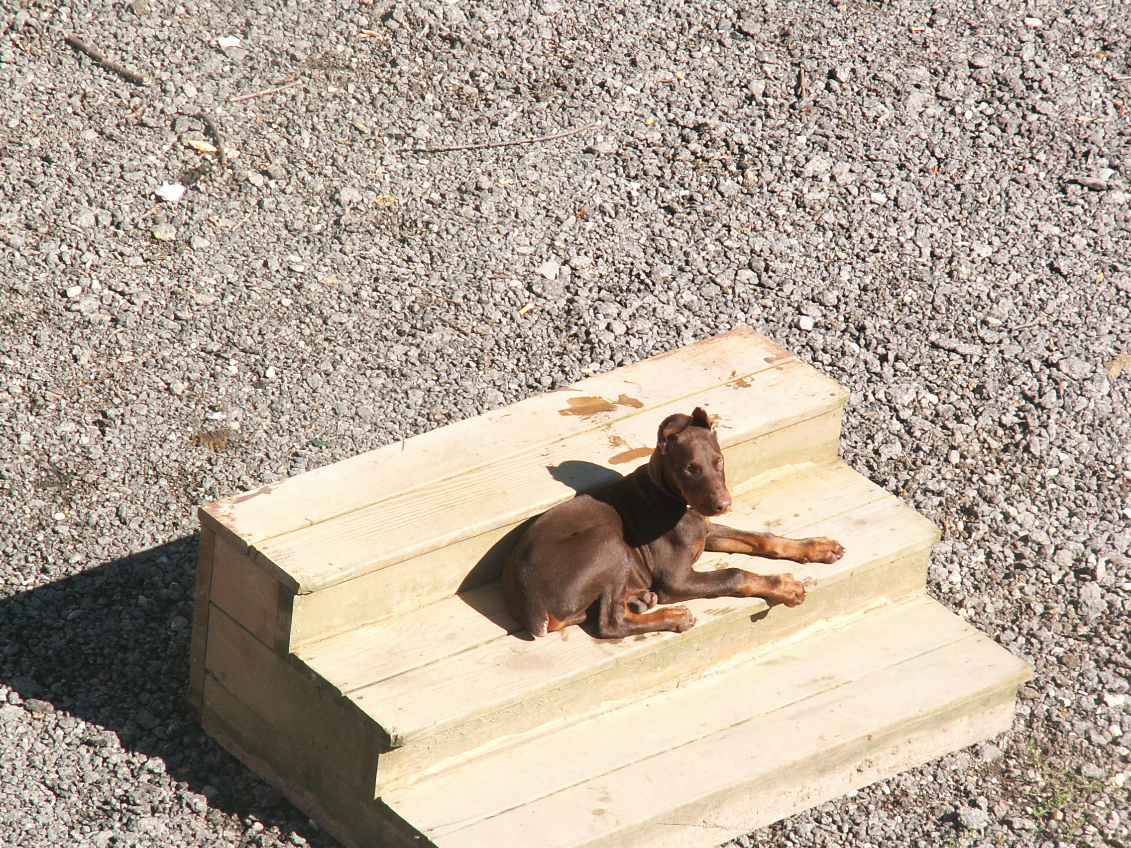 pict0369.jpg
